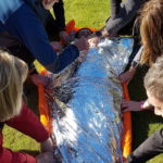 pack-and-go-500x983-1